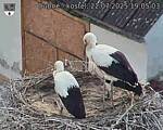 Capi_Dubne_20250722_190503.jpg