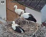 Capi_Dubne_20250722_191002.jpg