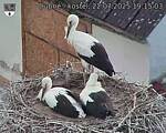 Capi_Dubne_20250722_191503.jpg