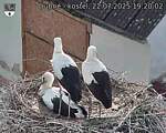 Capi_Dubne_20250722_192002.jpg