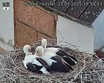 Capi_Dubne_20250722_195003.jpg