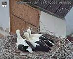 Capi_Dubne_20250722_195502.jpg