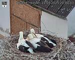 Capi_Dubne_20250722_200003.jpg