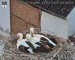 Capi_Dubne_20250722_200503.jpg