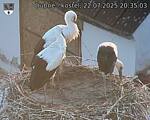 Capi_Dubne_20250722_203503.jpg