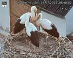 Capi_Dubne_20250722_204002.jpg