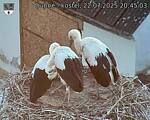 Capi_Dubne_20250722_204503.jpg