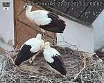 Capi_Dubne_20250722_210002.jpg