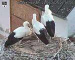 Capi_Dubne_20250722_210503.jpg
