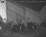 Capi_Dubne_20250722_214503.jpg