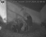 Capi_Dubne_20250722_220002.jpg