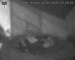 Capi_Dubne_20250722_222003.jpg