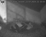Capi_Dubne_20250722_223503.jpg