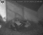 Capi_Dubne_20250722_224503.jpg