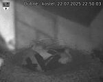 Capi_Dubne_20250722_225003.jpg