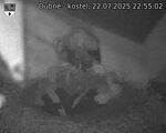 Capi_Dubne_20250722_225502.jpg