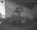 Capi_Dubne_20250722_230003.jpg