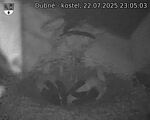 Capi_Dubne_20250722_230503.jpg