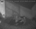 Capi_Dubne_20250722_231503.jpg