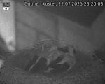Capi_Dubne_20250722_232003.jpg