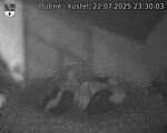 Capi_Dubne_20250722_233003.jpg