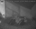 Capi_Dubne_20250722_234003.jpg