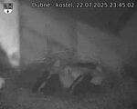 Capi_Dubne_20250722_234502.jpg