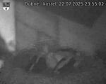 Capi_Dubne_20250722_235502.jpg