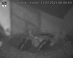 Capi_Dubne_20250723_000003.jpg