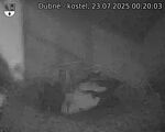 Capi_Dubne_20250723_002003.jpg
