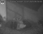 Capi_Dubne_20250723_005002.jpg
