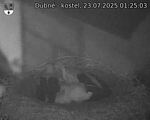 Capi_Dubne_20250723_012503.jpg