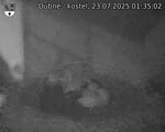 Capi_Dubne_20250723_013502.jpg
