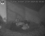 Capi_Dubne_20250723_015503.jpg