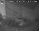 Capi_Dubne_20250723_020002.jpg