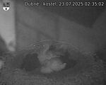 Capi_Dubne_20250723_023502.jpg