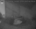 Capi_Dubne_20250723_025002.jpg