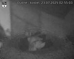 Capi_Dubne_20250723_025503.jpg