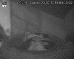 Capi_Dubne_20250723_031502.jpg