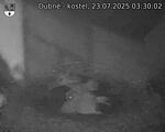 Capi_Dubne_20250723_033002.jpg