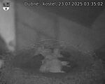 Capi_Dubne_20250723_033502.jpg