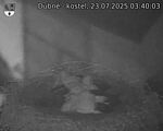 Capi_Dubne_20250723_034003.jpg
