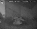 Capi_Dubne_20250723_040002.jpg