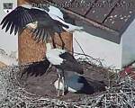 Capi_Dubne_20250723_105503.jpg