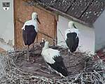 Capi_Dubne_20250723_132003.jpg