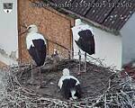 Capi_Dubne_20250723_132502.jpg