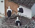 Capi_Dubne_20250723_133003.jpg