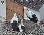 Capi_Dubne_20250723_134503.jpg