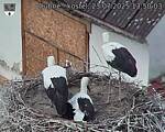 Capi_Dubne_20250723_135003.jpg
