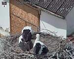 Capi_Dubne_20250723_135503.jpg